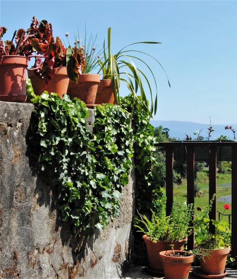 Casa De Cerqueda Homestay