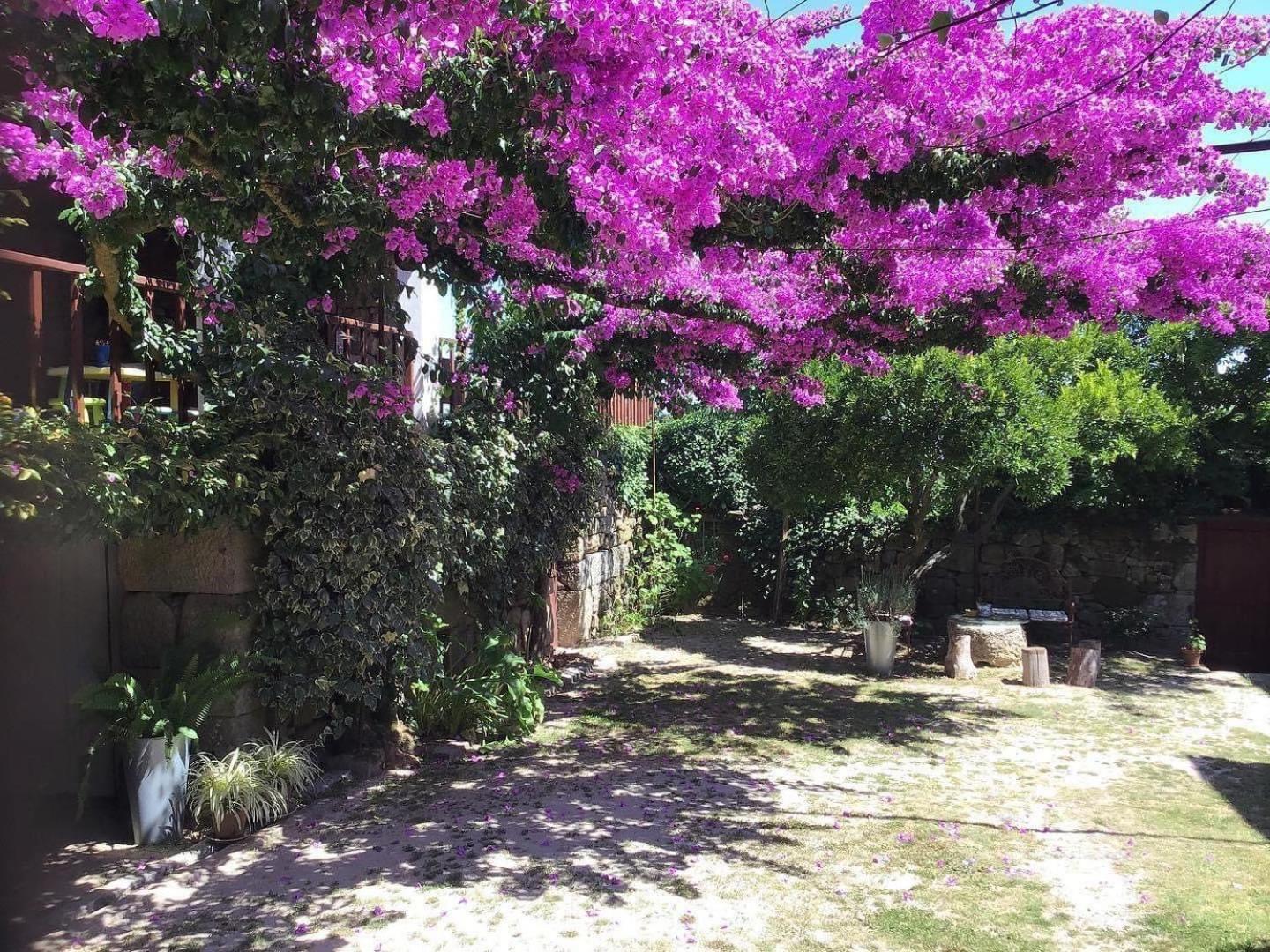 Kwatera prywatna Casa De Cerqueda Celorico De Basto
