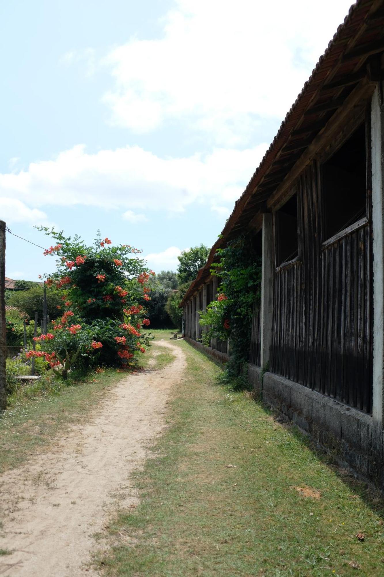 Casa De Cerqueda Homestay *