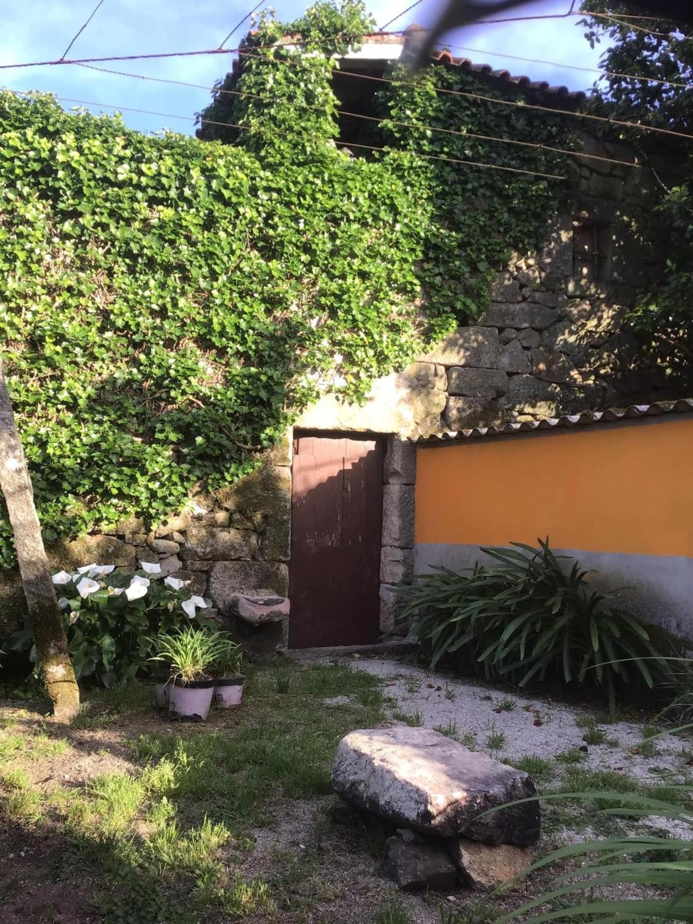 Casa De Cerqueda Kwatera prywatna Celorico De Basto
