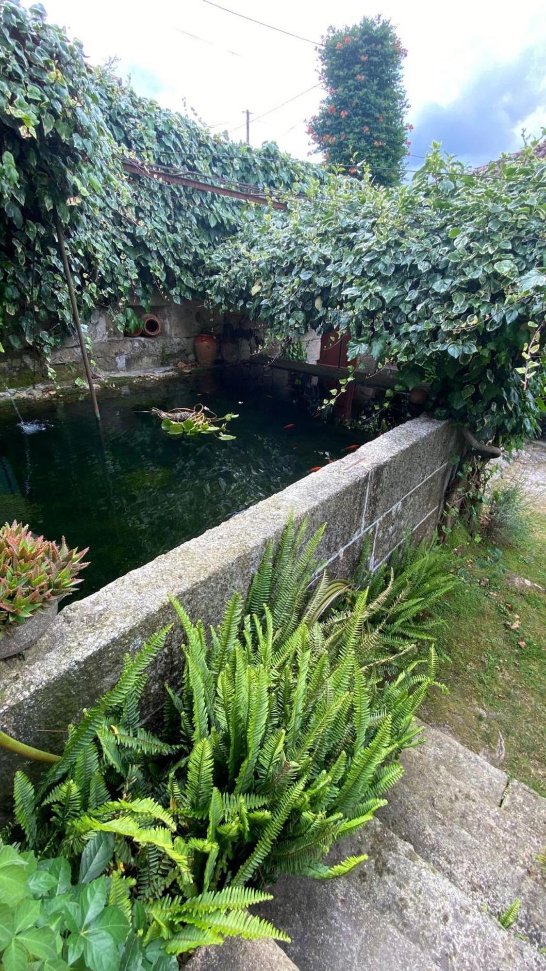 Casa De Cerqueda Kwatera prywatna