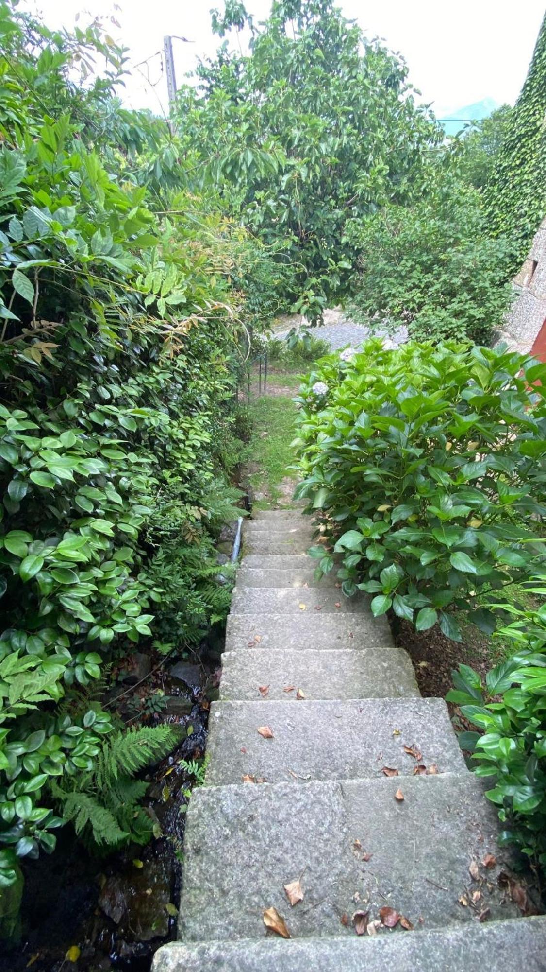 Casa De Cerqueda Homestay *