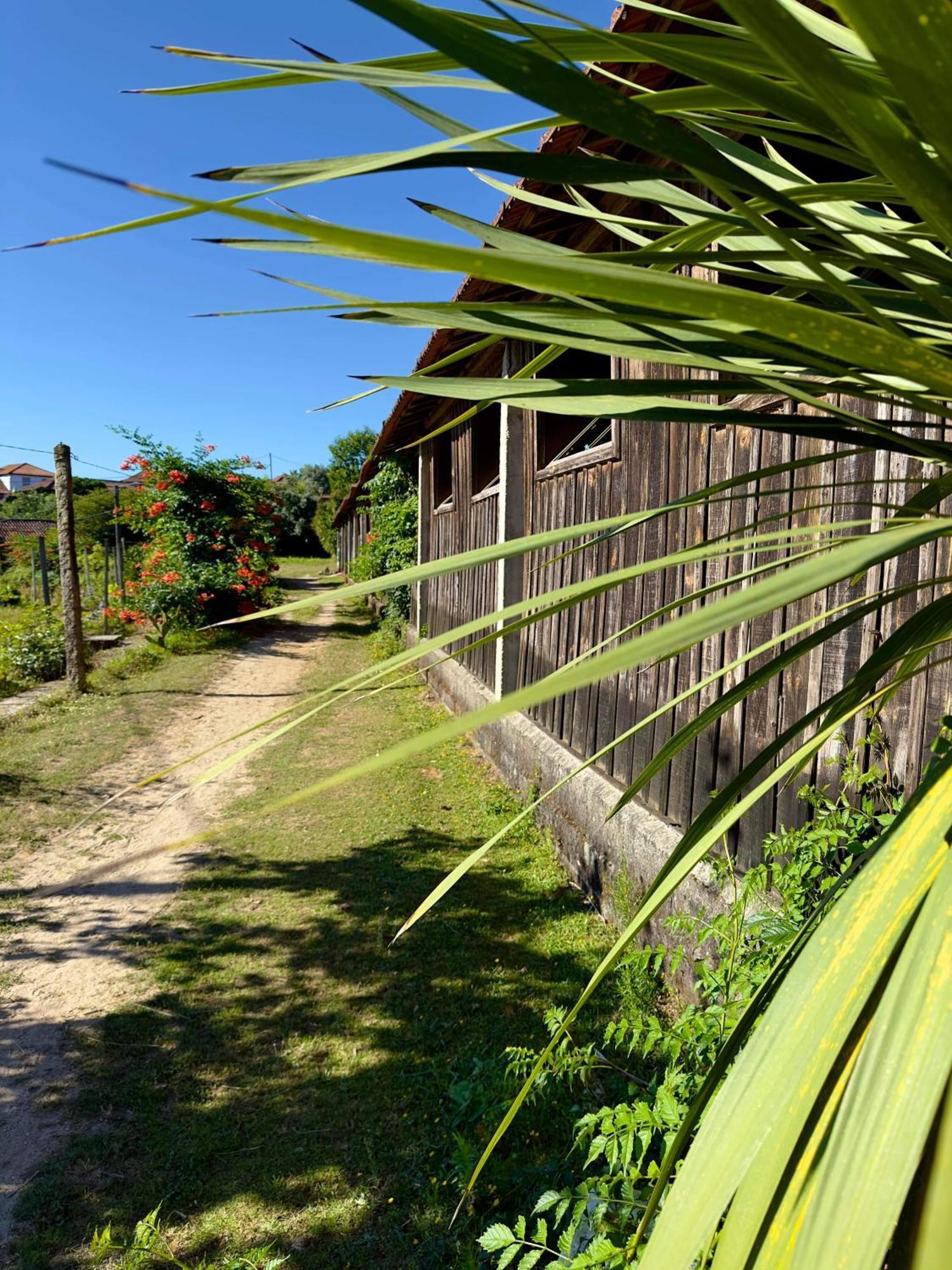 Casa De Cerqueda Homestay *